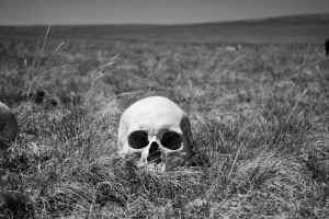 To be, or not to be...