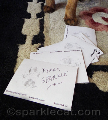 When I have book signings, my paws get really tired!