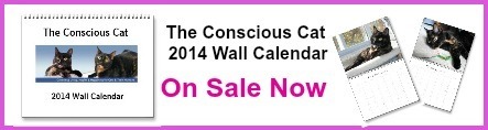2014 Calendar banner with border