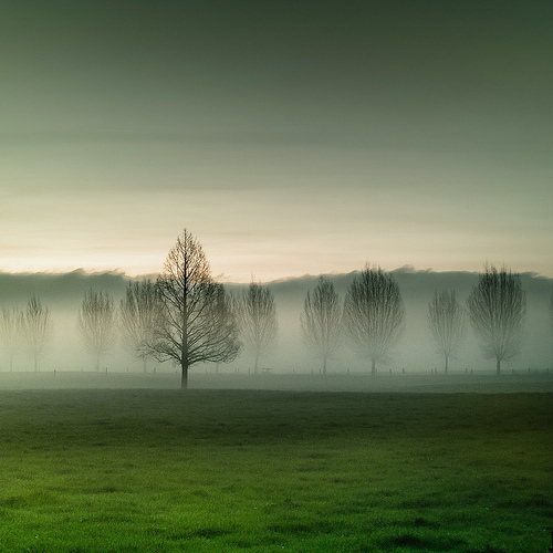 Nature Before & After by Cuba Gallery @ Flickr