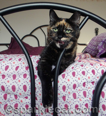 She looks like she is stoned on valerian