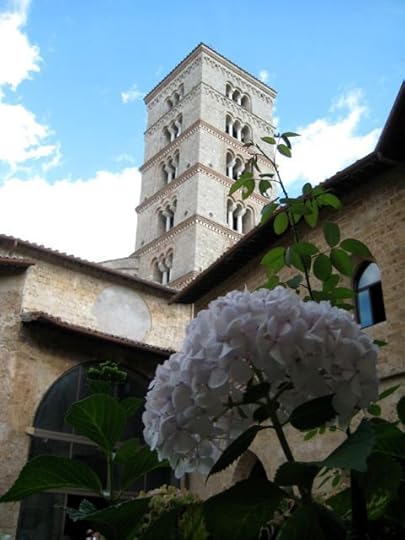 monastery hydrangea