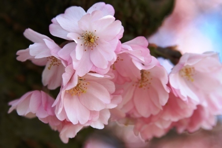 Post image for Choosing Gratitude