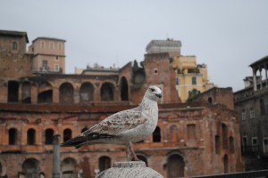 One visitor to Rome not put off by the rain