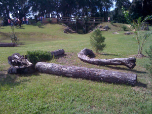 perfect natural place to back through