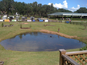 A watering hole to swim the horses