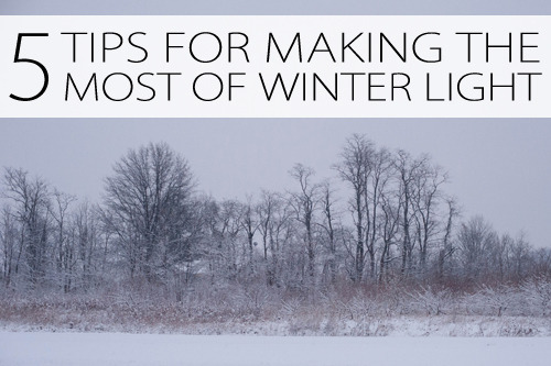 5 Tips for Making the Most of Winter Light