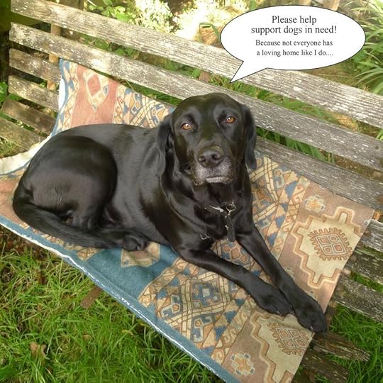 Tilly's sales pitch