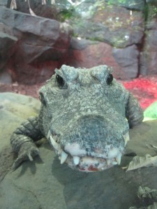 zoo and more 015