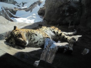 zoo and more 028