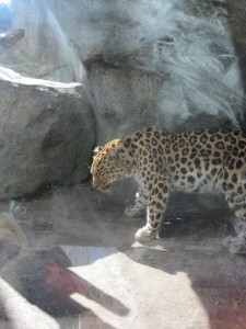 zoo and more 024