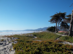 Local beaches are justly famed