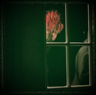  photo 796785ea-6d12-4171-9f9e-f0eddb778fd9_zpscb30bd29.jpg