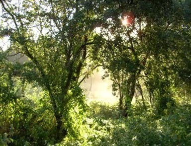 clip_image002