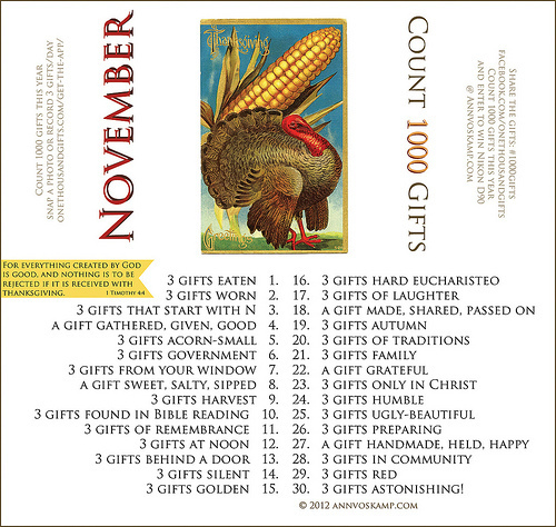 NovemberJoyDare