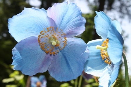 Post image for Fourteen Words