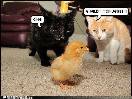 Photo: Get more Great Posts at : Put a Smile on My Face