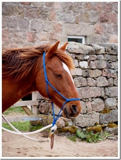 3 May 3 02-05-2013 10-27-42 3024x4032