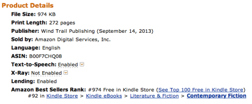 Cemetery Tours Ranks #92 on the Kindle Store's Best Sellers in Contemporary Fiction