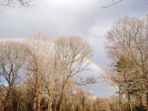 A morning rainbow! 