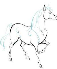 horse