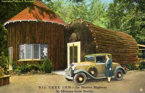 BigTreeInnca1930