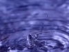 The-living-waters