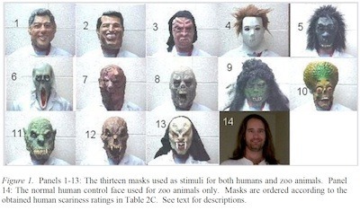 masks
