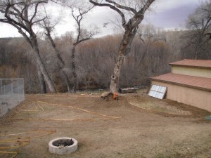 my new lasagna gardens