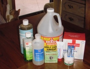 apple cider vinegar, homeopathics, witch hazel, burt's bees poison ivy soap