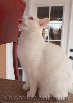 She was actually getting a little tired of being hounded by the paparazzi!