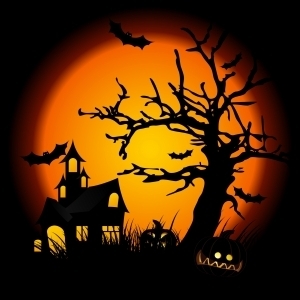 halloween-night-1306743-m