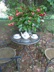 SAMSUNG DIGITAL CAMERA