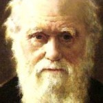 DARWIN pic colour