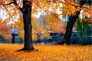 luan an Autumn-Boston