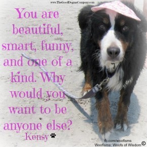 beyourselfIMG 2705 290x290 Woofisms: Woofs of Wisdom© funny dog blog