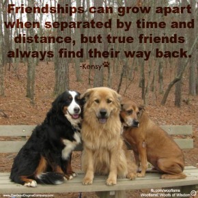 friendshipsIMG 0571 290x290 Woofisms: Woofs of Wisdom© funny dog blog