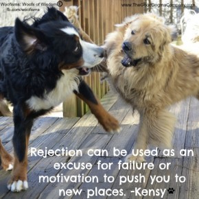 motivation DSC1032 290x290 Woofisms: Woofs of Wisdom© funny dog blog