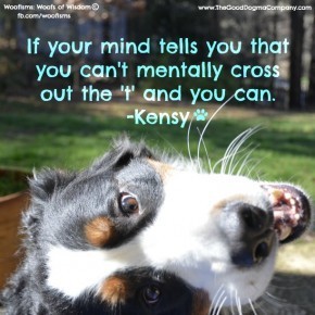 youcan DSC1960 290x290 Woofisms: Woofs of Wisdom© funny dog blog