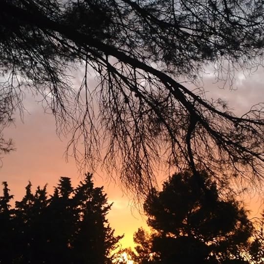 Fall sky #provence #instagood #instadaily #instamood #video #life