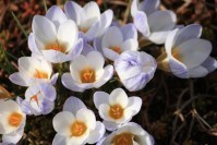 Post image for Thank You