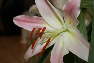 Post image for It's Still Not Too Late at Ninety-Eight