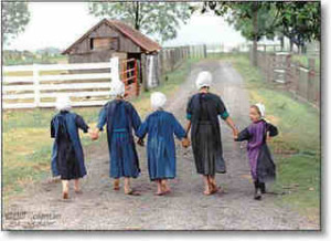 amish (4)