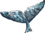 Whale Tail