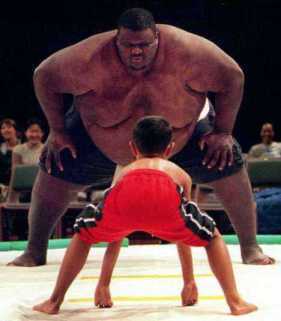 david-and-goliath-sumos22