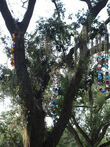 story trees