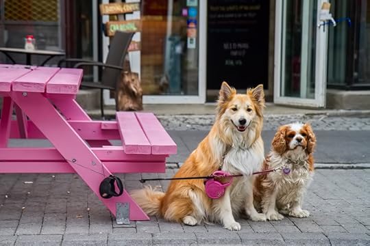 Street Art Reykjavik