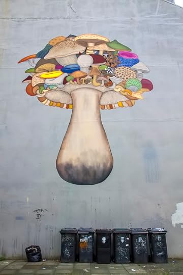 Street Art Reykjavik