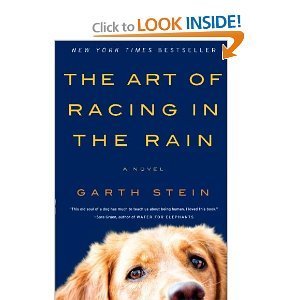 The Art of Racing