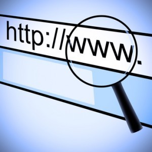 web search